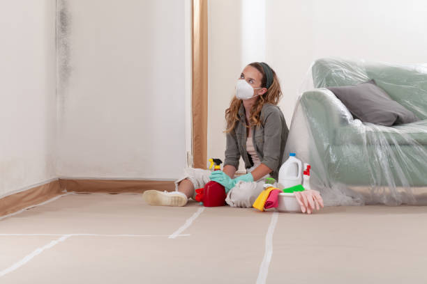 Reliable Mold Remediation contractor in Ridgewood, IL by Mold Remediation HQ